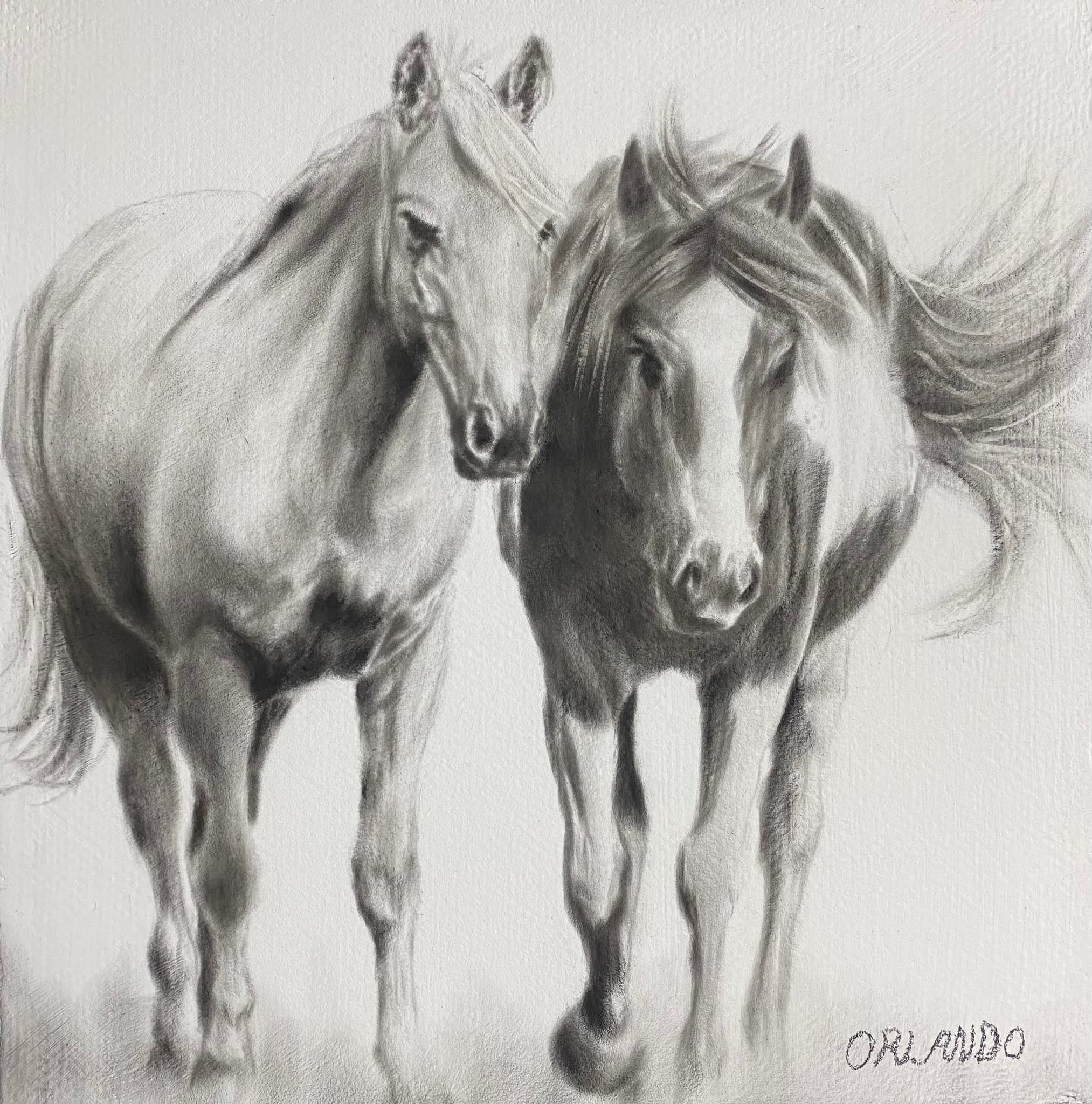 Crystal Orlando Wildlife / Equine Artist